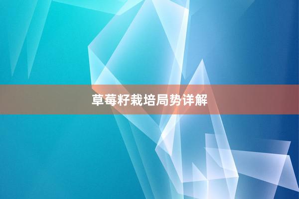 草莓籽栽培局势详解