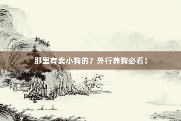 那里有卖小狗的？外行养狗必看！